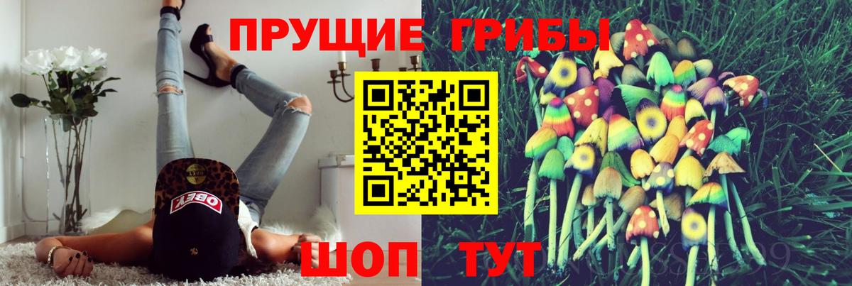 Красногорск  Псилоцибиновые грибы мицелий  Вход с VPN 